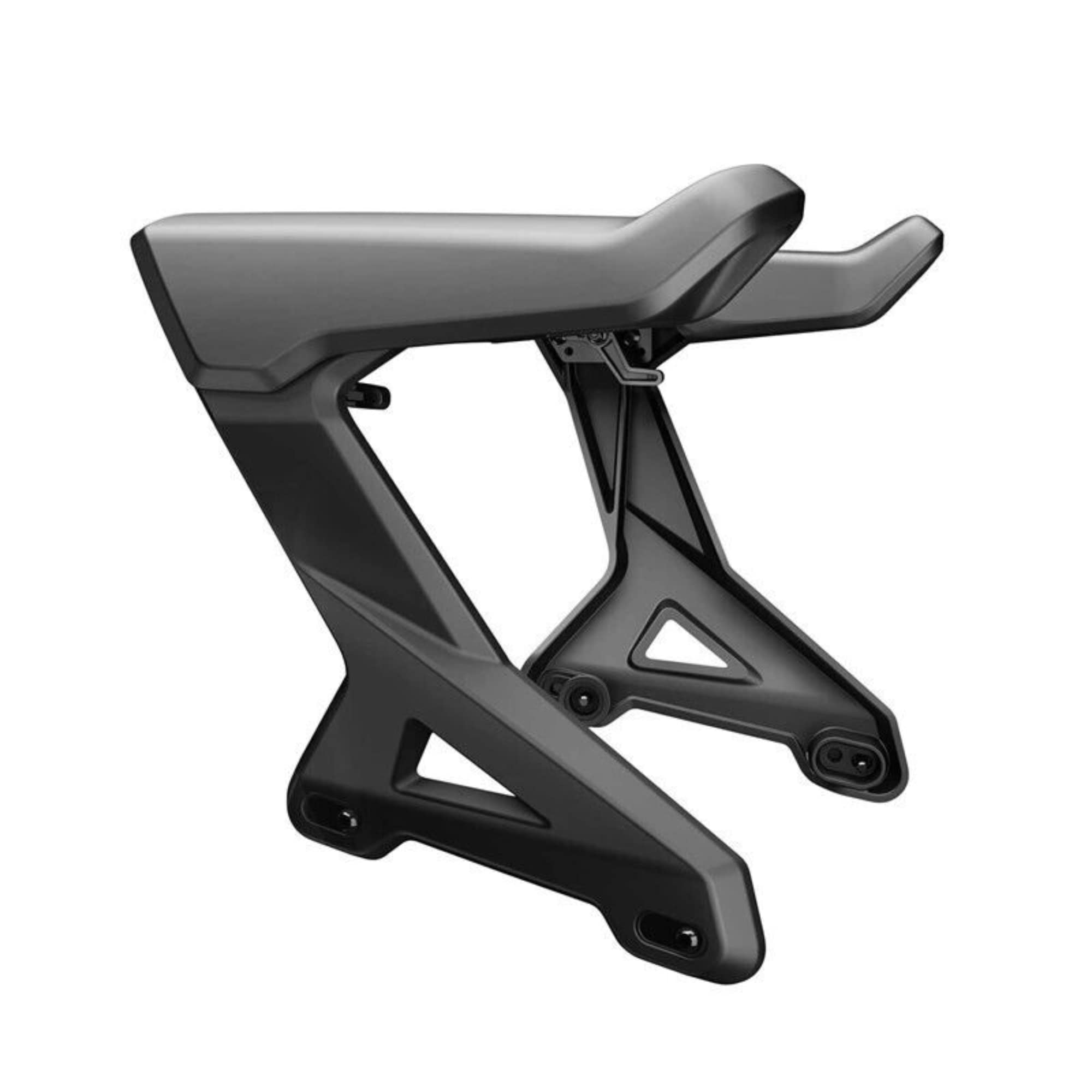 Can-Am Spyder New Passenger Armrests, 219400726