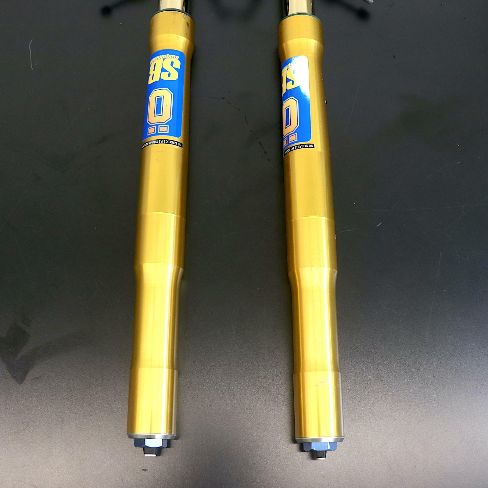 OPEN BOX OEM Ducati Panigale 1199 Front Forks | DU1199-FORKS