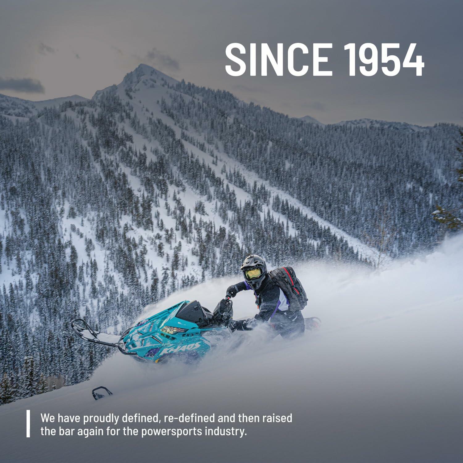 Polaris Side View Mirrors for RANGER and Pro XD, Door Mounted, Set of 2, 2889241