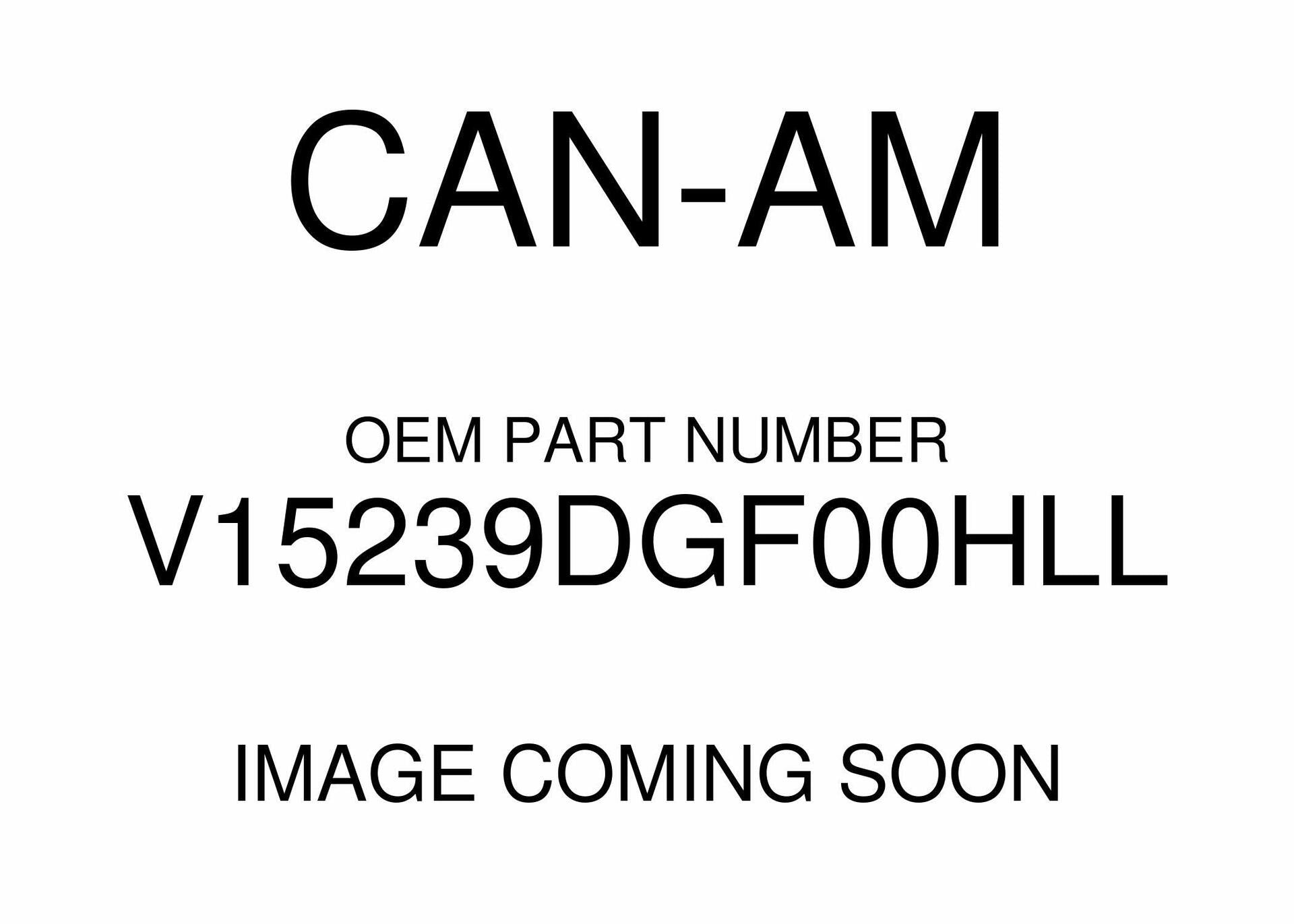 Can-Am DS 90 Mini Cam Chain Sprocket 40T 2010-2018 V15239DGF00HLL New OEM