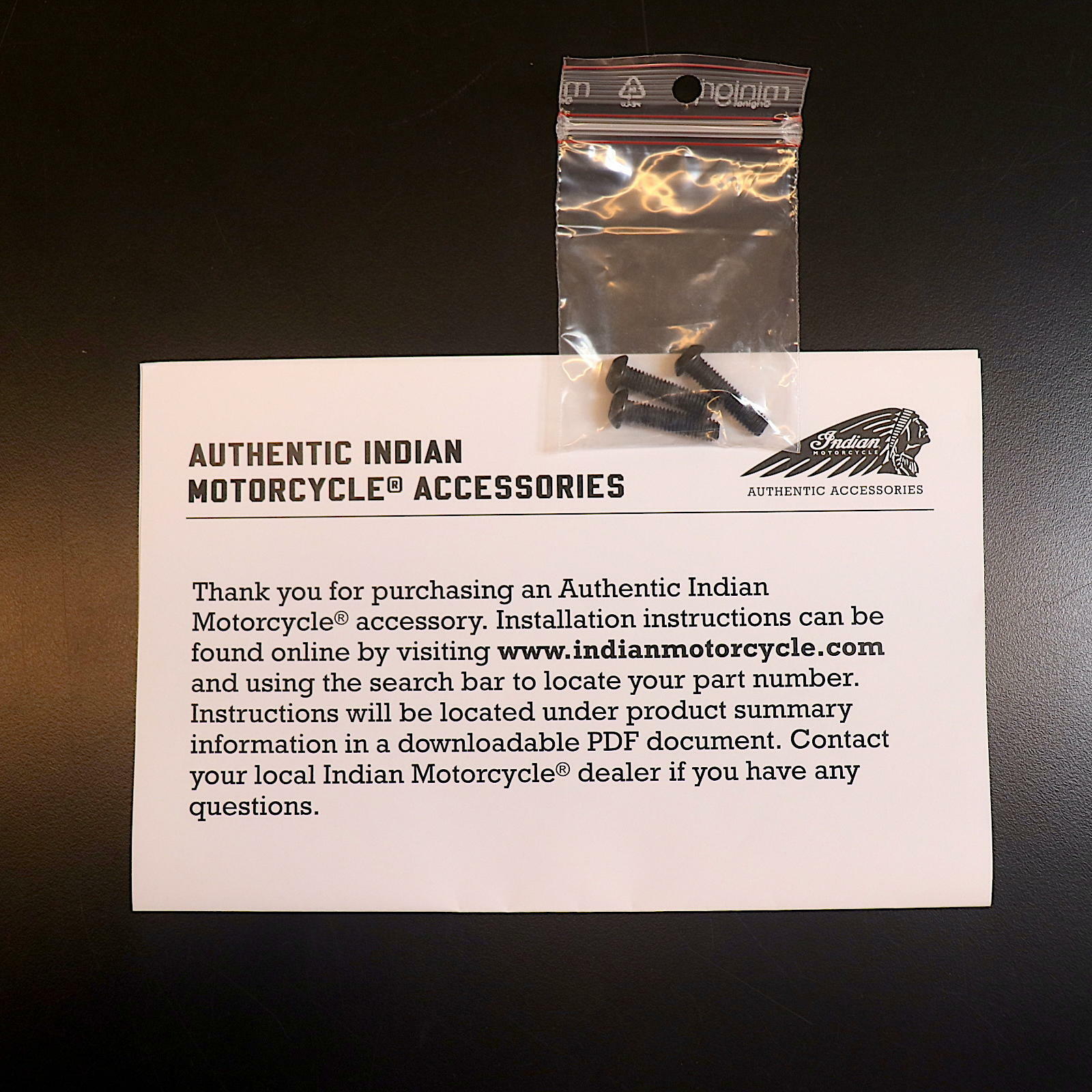 OEM Indian Syndicate Low-Profile Passenger Back Pad|Black|2890036-VBB - Open Box
