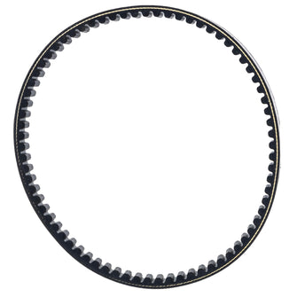 Polaris Drive Belt, Part 0454497