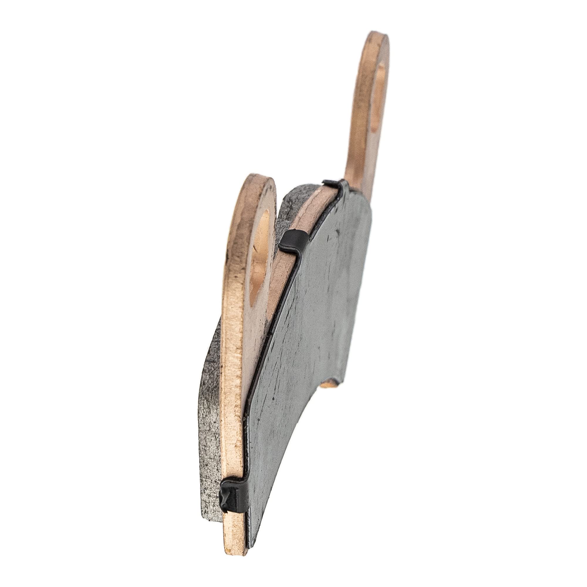 Polaris Pro Series Brake Pads, 2 Qty, for Select Models, Part 2208933